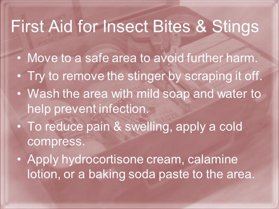 Insect bite first aid deals